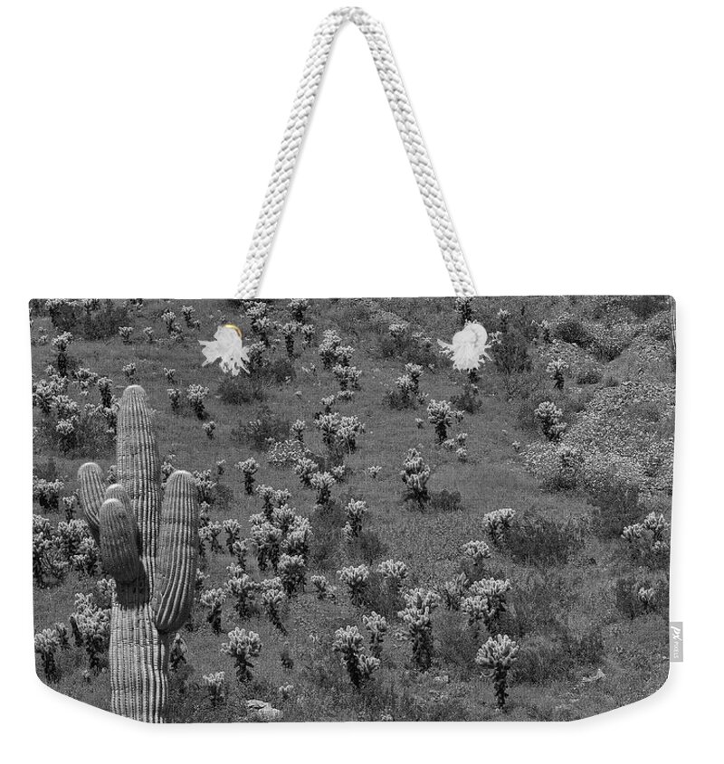 Disk1216 Weekender Tote Bag featuring the photograph Saguaro Cacti, Arizona #4 by Tim Fitzharris