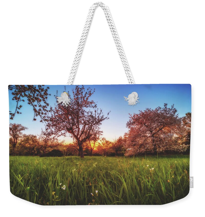 Sunset Weekender Tote Bag featuring the photograph Sunset #5 by Marc Braner