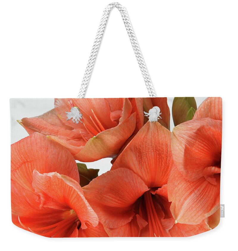 Orange Color Weekender Tote Bag featuring the photograph A Close-up Of A Bouquet Of Flowers #5 by Nicholas Eveleigh