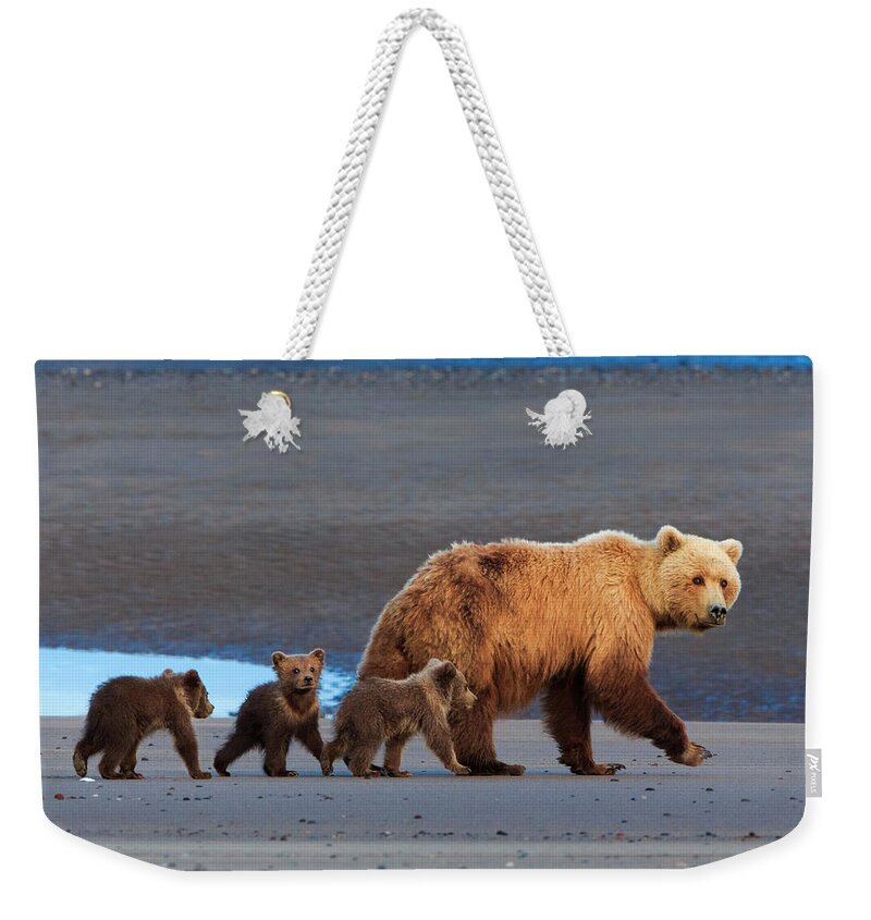 Brown Bear Weekender Tote Bag featuring the photograph Brown Bear Sow And Cubs, Lake Clark #5 by Mint Images/ Art Wolfe
