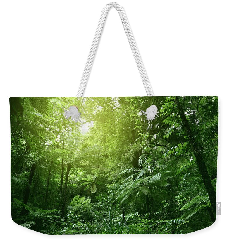 Rain Forest Weekender Tote Bag featuring the photograph Canopy of jungle #5 by Les Cunliffe