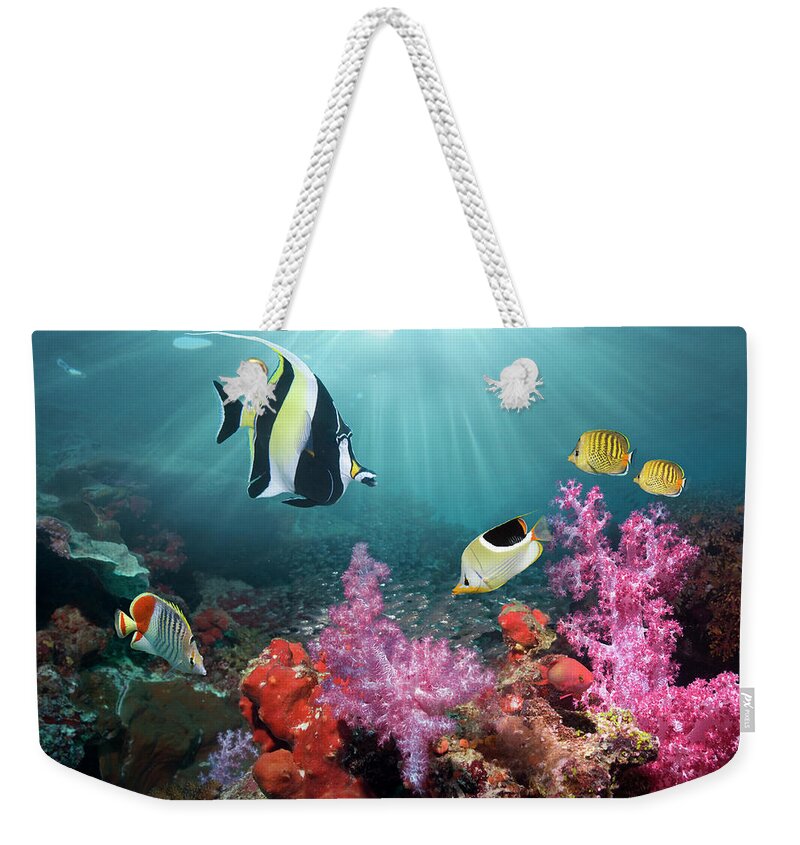 Tranquility Weekender Tote Bag featuring the photograph Coral Reef Scenery by Georgette Douwma