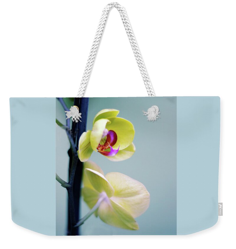 Orchid Weekender Tote Bag featuring the photograph Orchid Duet by Jessica Jenney