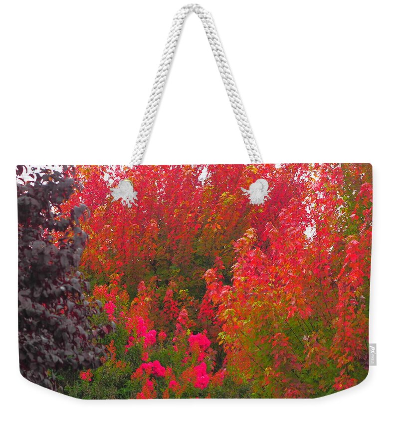 Landscape Weekender Tote Bag featuring the photograph Neighborhood Diversity #9 by Richard Thomas