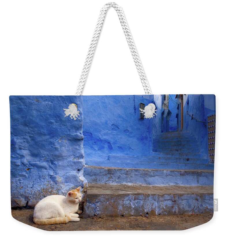 Cat Weekender Tote Bag featuring the photograph A Cat in Chefchaouen by Nicole Young