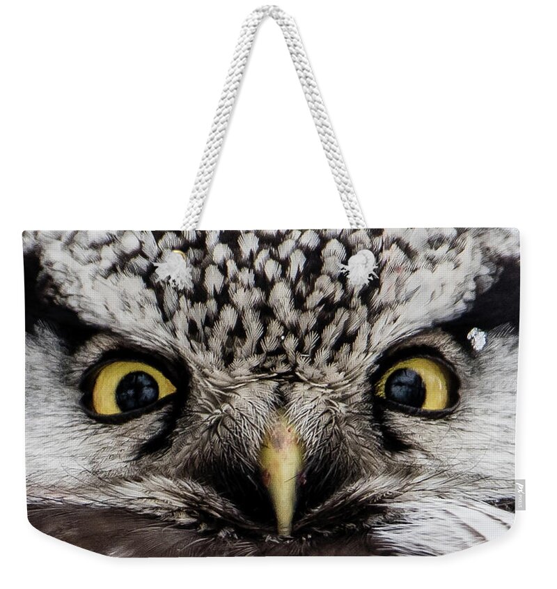 Northern Hawk Owl Weekender Tote Bag featuring the photograph A closeup of The Northern Hawk Owl by Torbjorn Swenelius