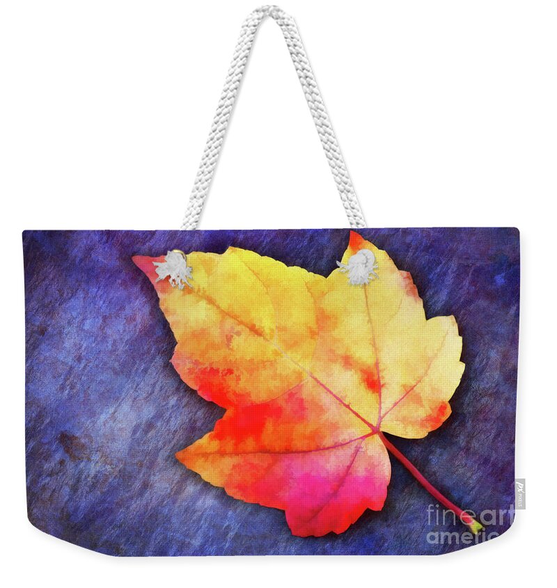 Fall Weekender Tote Bag featuring the photograph A Colorful Fall Memory by Anita Pollak