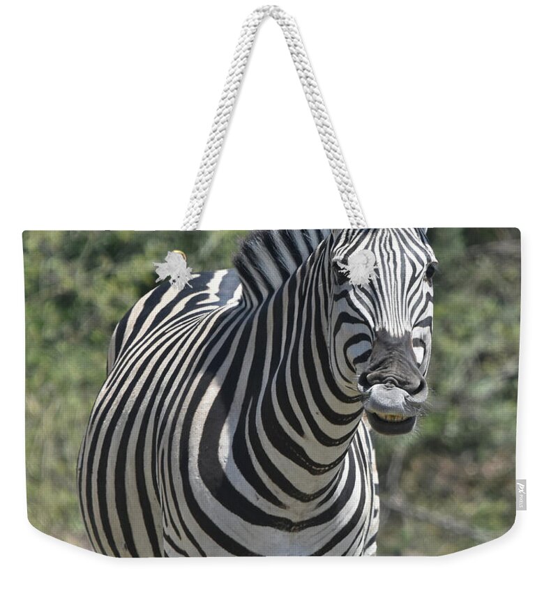 Zebra Weekender Tote Bag featuring the photograph A Curious Zebra by Ben Foster