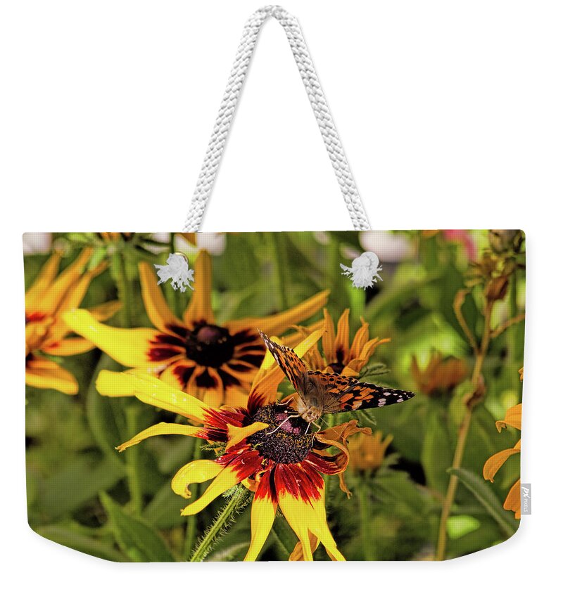 Butterfly Weekender Tote Bag featuring the photograph A Daisy's Lady by Alana Thrower