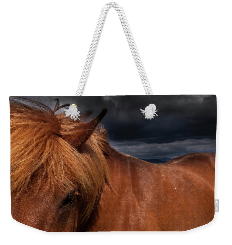 Horse Weekender Tote Bag featuring the photograph A Dun Coloured Icelandic Horse With A by Mint Images - Art Wolfe