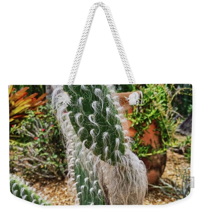 Cactus Weekender Tote Bag featuring the photograph A Fuzzy One by Portia Olaughlin