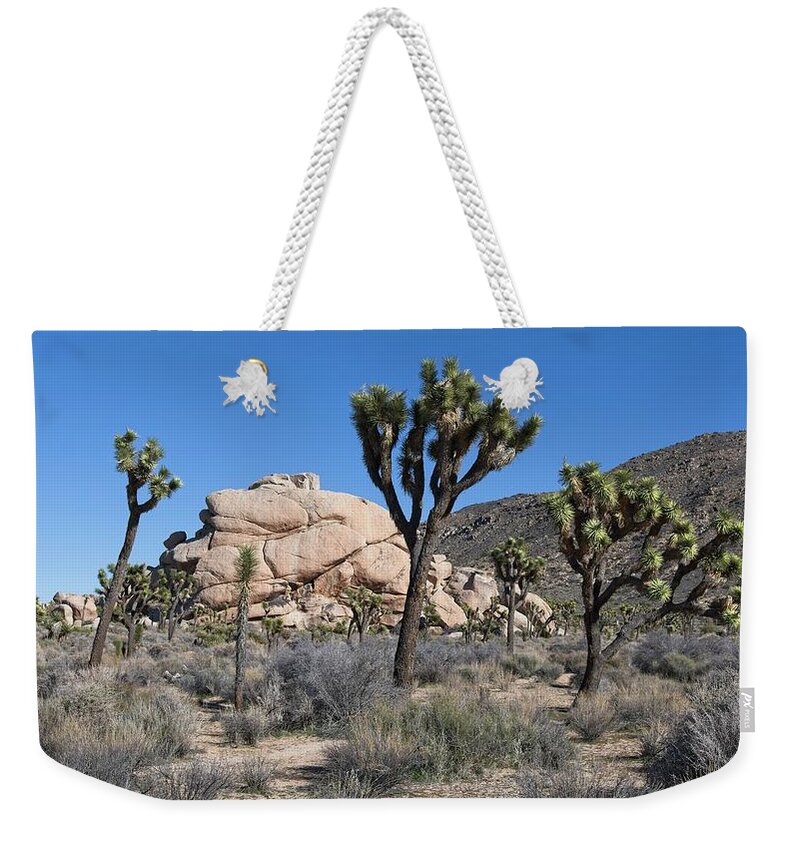 Landscape Weekender Tote Bag featuring the photograph A Joshua Tree Family by Allan Van Gasbeck