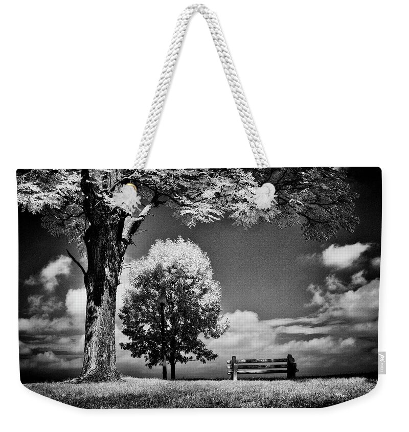 Dir-pa-0425 Weekender Tote Bag featuring the photograph A lone bench under a tree under a tree by Paul W Faust - Impressions of Light