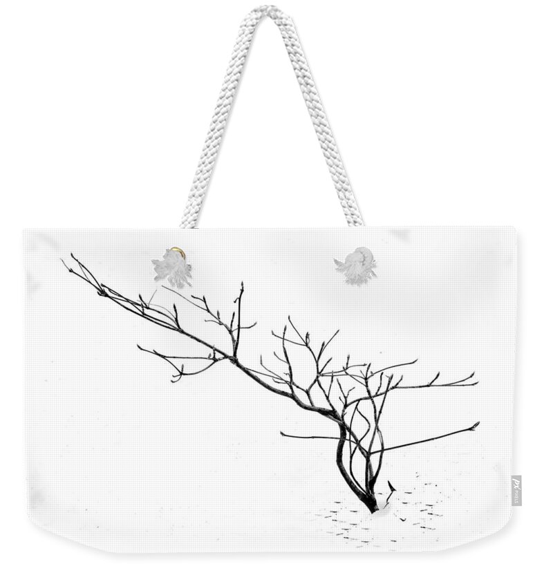 Minimalist Weekender Tote Bag featuring the photograph A naked twig in the snow by Alessandra RC