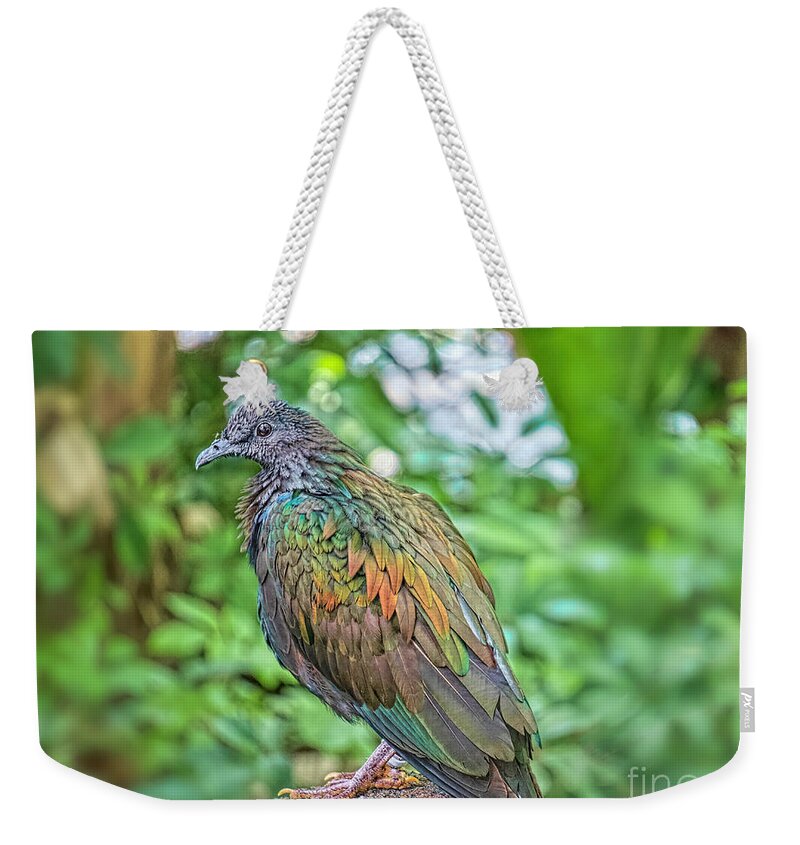 Birds Weekender Tote Bag featuring the photograph A Nicobar Islands Resident by Judy Kay