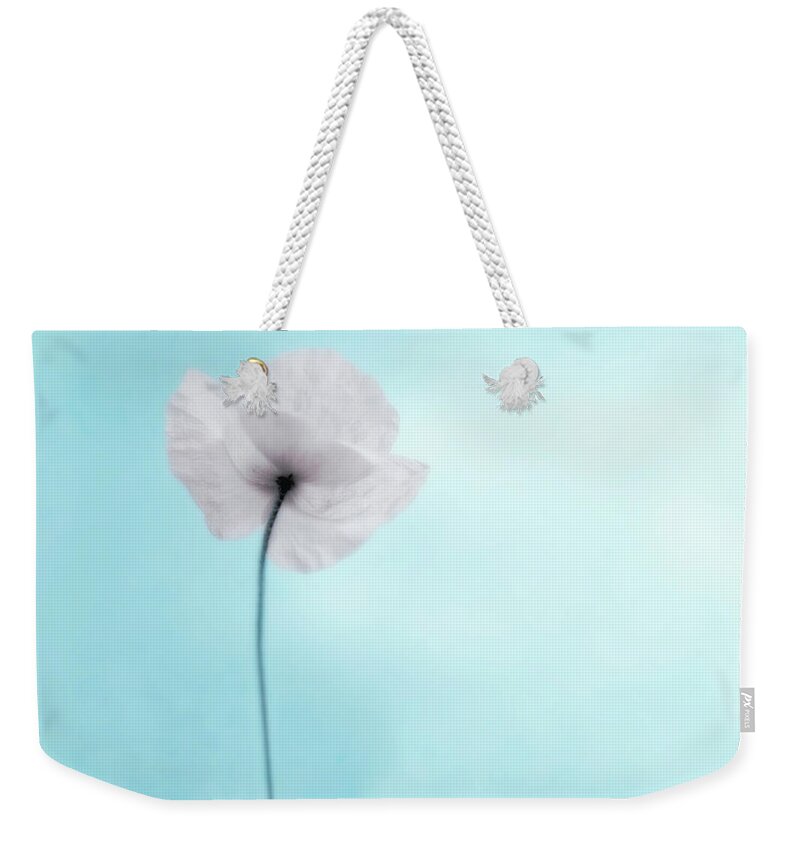 Desaturated Weekender Tote Bag featuring the photograph A Poppy Against A Cool Blue Background by Alexandre Fp