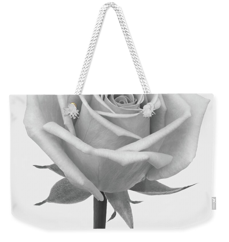 White Background Weekender Tote Bag featuring the photograph A Rose In Shades Of Grey by Rosemary Calvert