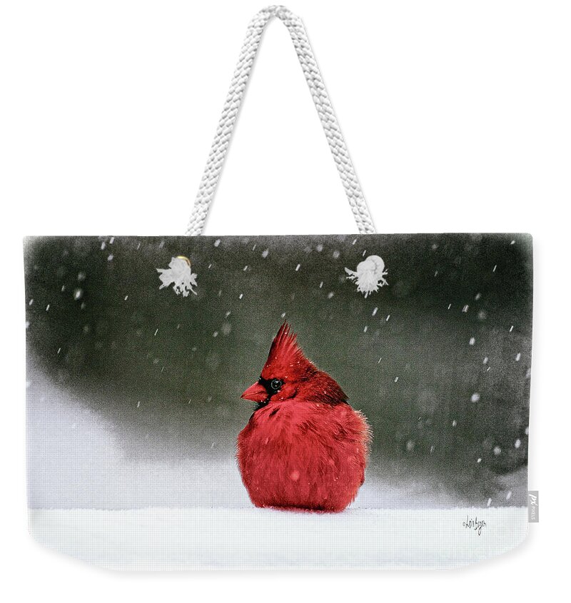 Cardinal Weekender Tote Bag featuring the photograph A Ruby In The Snow by Lois Bryan
