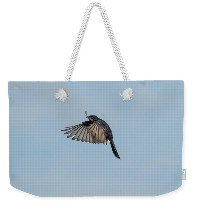 Drongo Weekender Tote Bag featuring the photograph A successful hunt by Mark Hunter