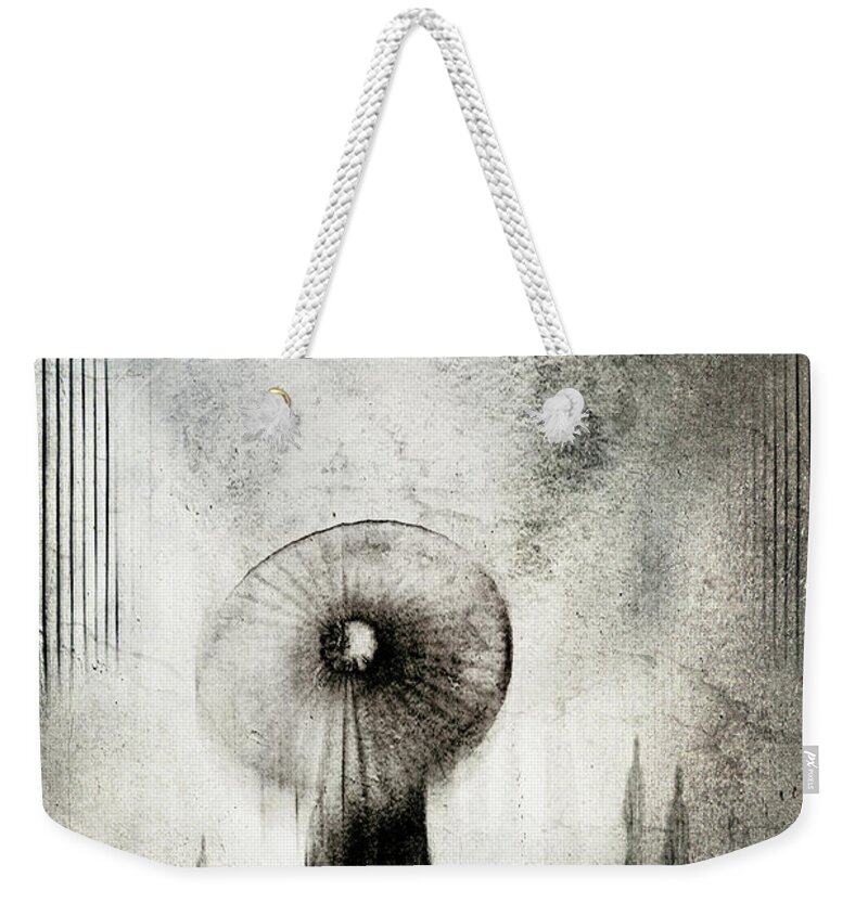 Ny Weekender Tote Bag featuring the photograph A Walk in a Dream by Alissa Beth Photography