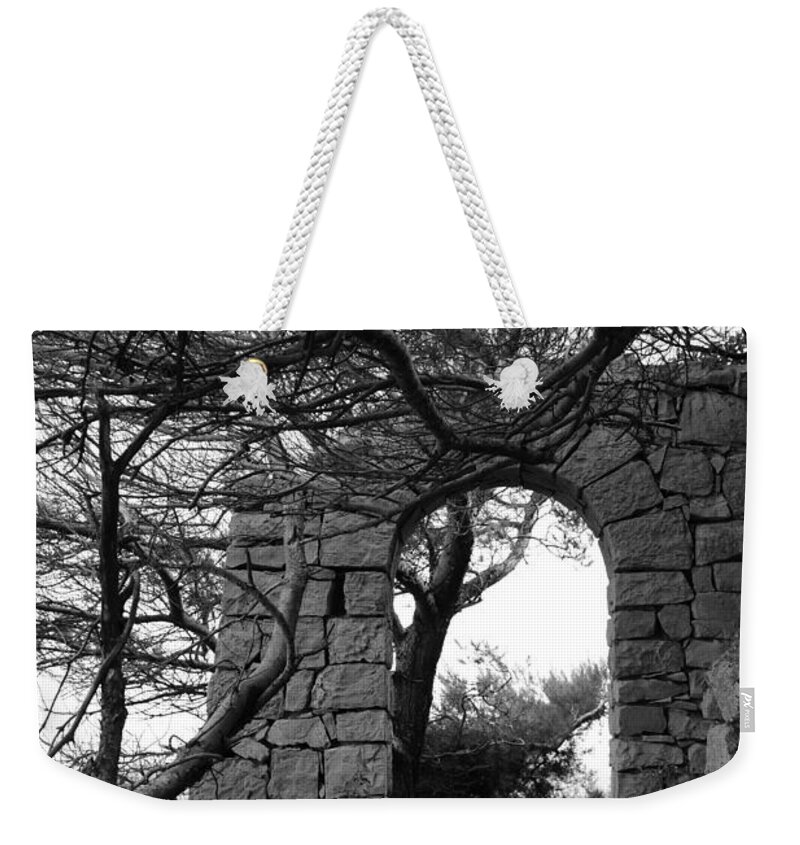 Littoral Weekender Tote Bag featuring the photograph A walk on the sea side by Tom Vandenhende