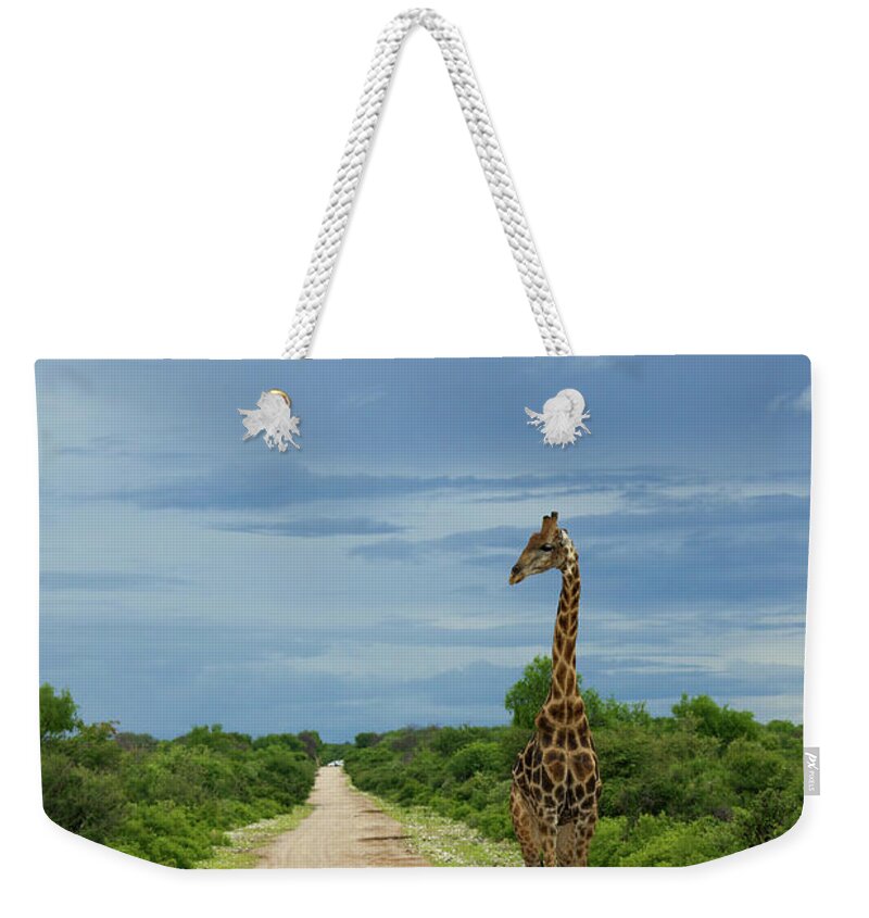 Scenics Weekender Tote Bag featuring the photograph A Wide Angle View Of A Giraffe Walking by Hphimagelibrary