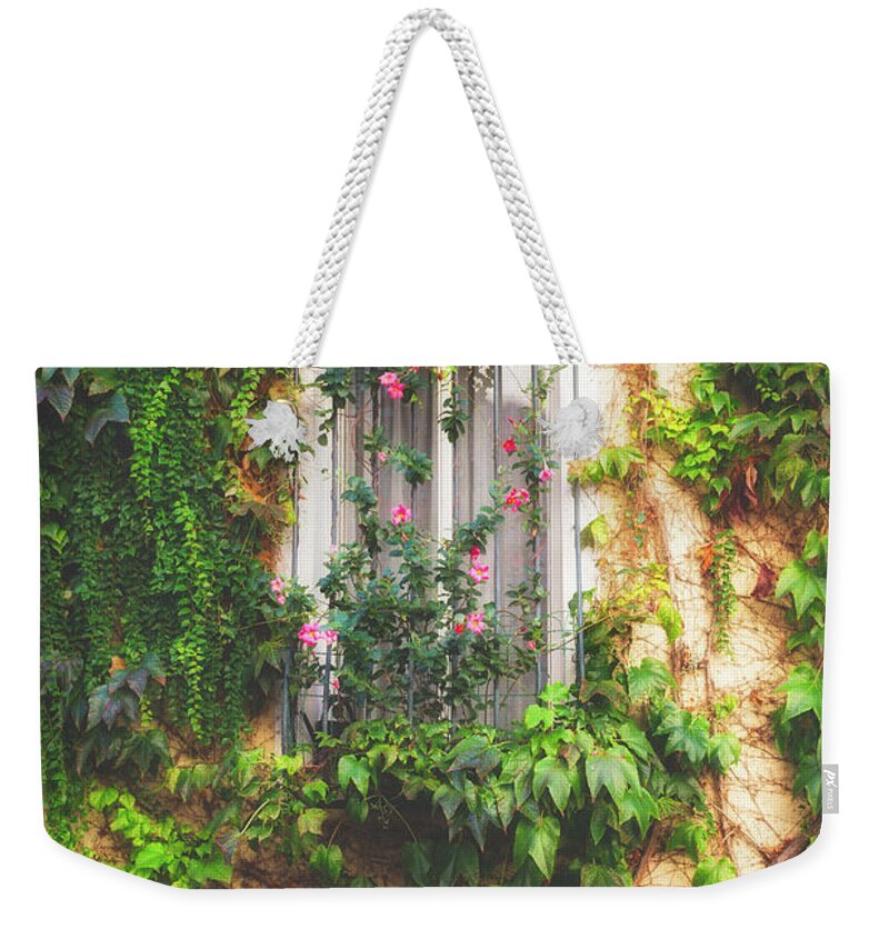 Window Weekender Tote Bag featuring the photograph A Window in Le Suquet Cannes by Lauri Novak