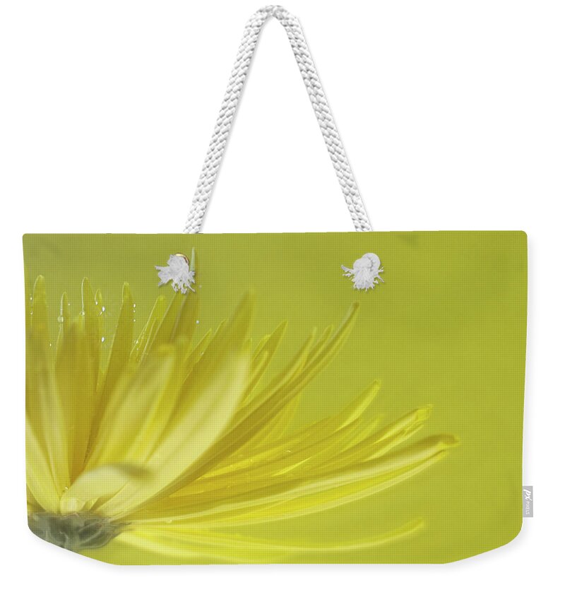 Petal Weekender Tote Bag featuring the photograph A Yellow Flower Against Yellow Backdrop by Images By Debbie Wibowo