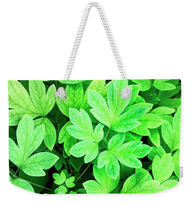 Leaves Weekender Tote Bag featuring the photograph Abstract Leaves by Christina Rollo