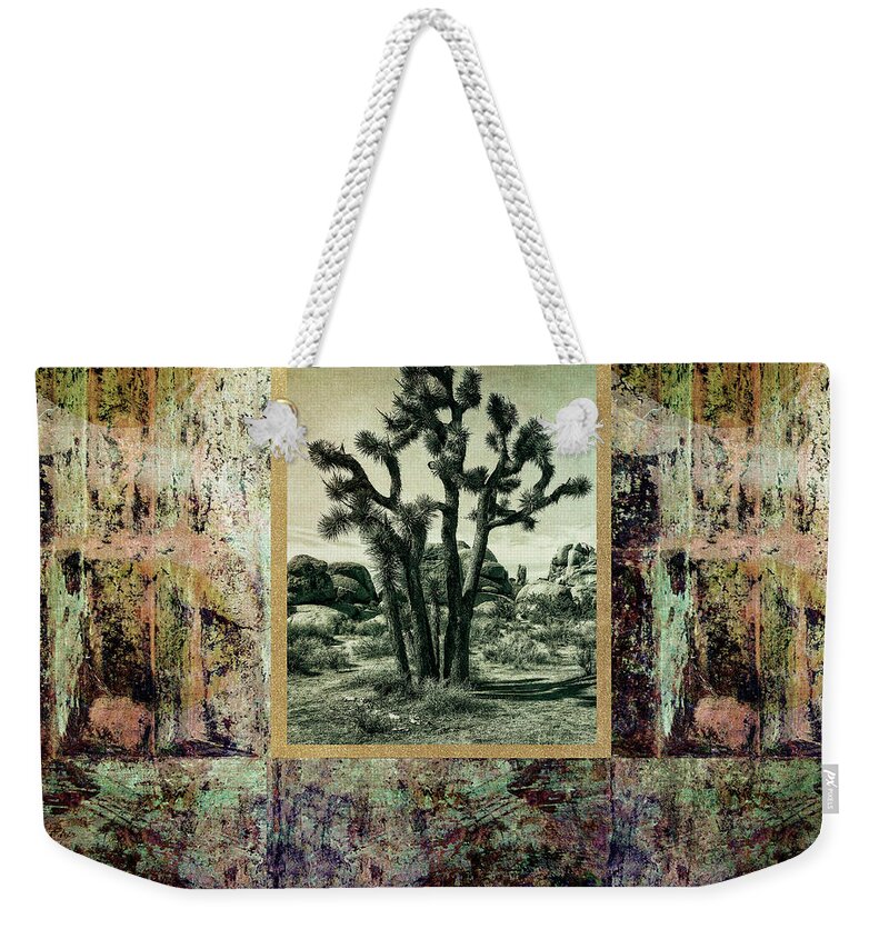 Abstract Weekender Tote Bag featuring the photograph Abstract with a Joshua Tree by Sandra Selle Rodriguez