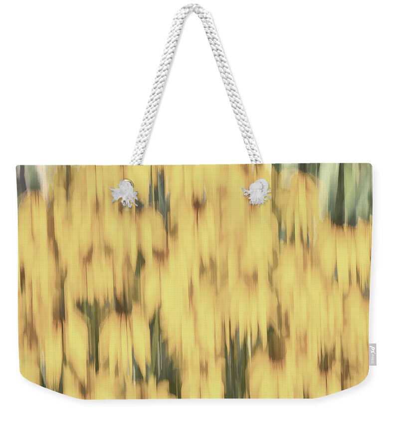 Sunflowers Weekender Tote Bag featuring the photograph Abstract Rudbeckia 2018-2 by Thomas Young