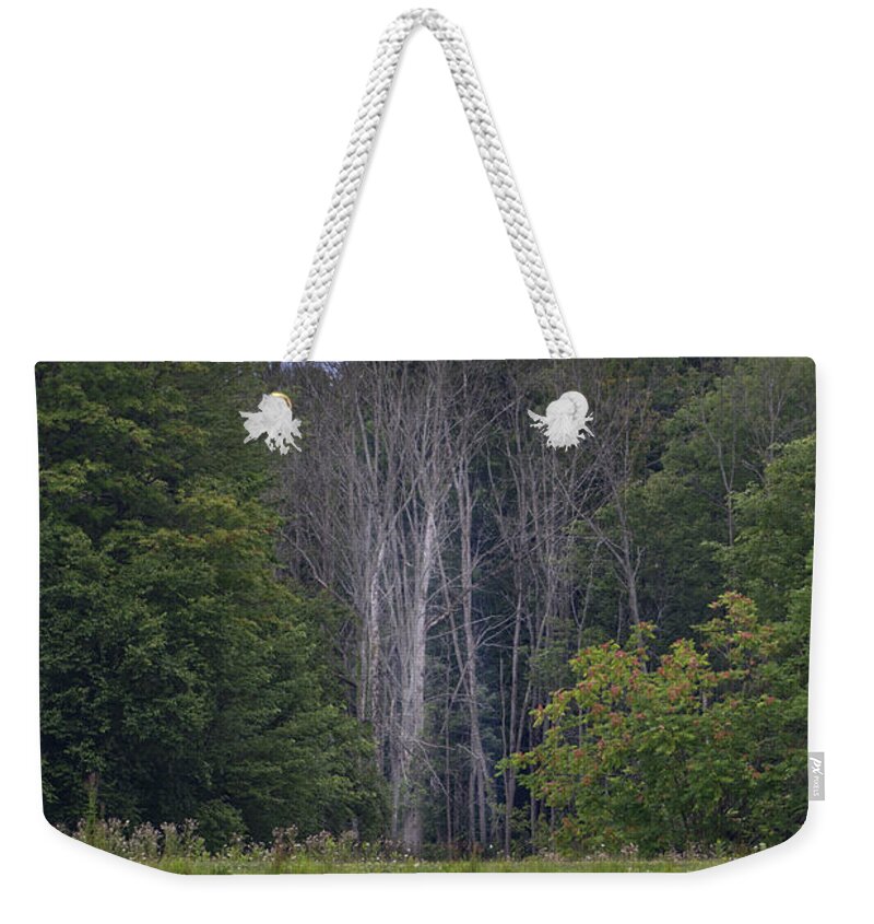 Pond Weekender Tote Bag featuring the photograph Across the Pond by Deborah Ritch