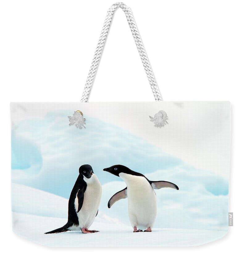 Animal Themes Weekender Tote Bag featuring the photograph Adélie Penguins by Angelika Stern