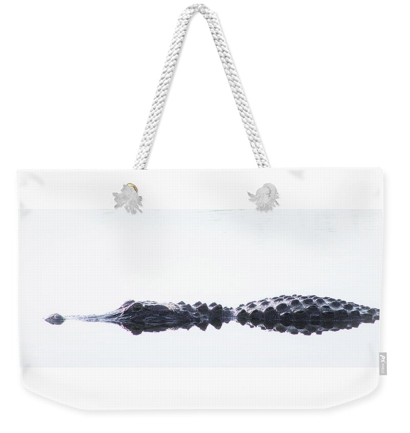 Alligator Weekender Tote Bag featuring the photograph Afloat by Michael Allard