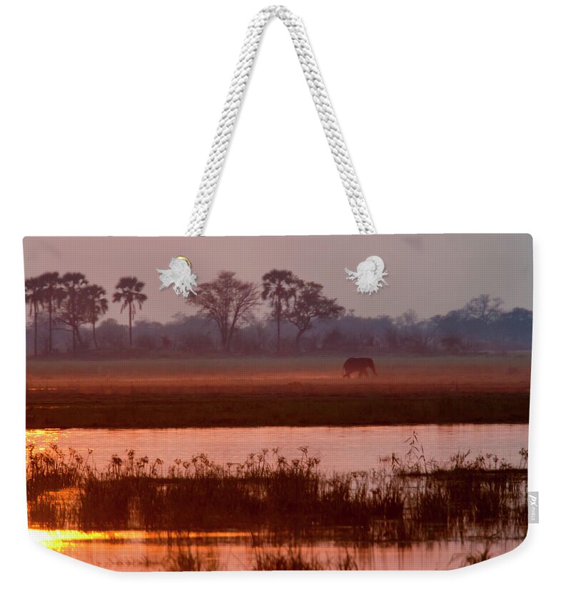 Botswana Weekender Tote Bag featuring the photograph African Elephant, Okavango Delta by Mint Images/ Art Wolfe
