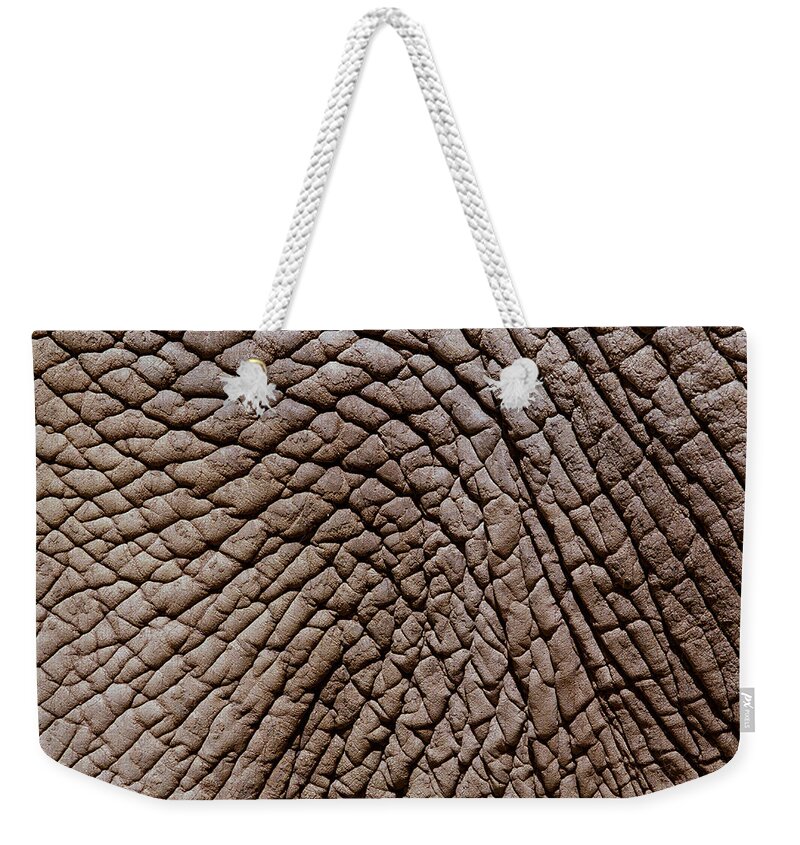 Animal Skin Weekender Tote Bag featuring the photograph African Elephants Loxodonta Africana by Chad Baker/jason Reed/ryan Mcvay
