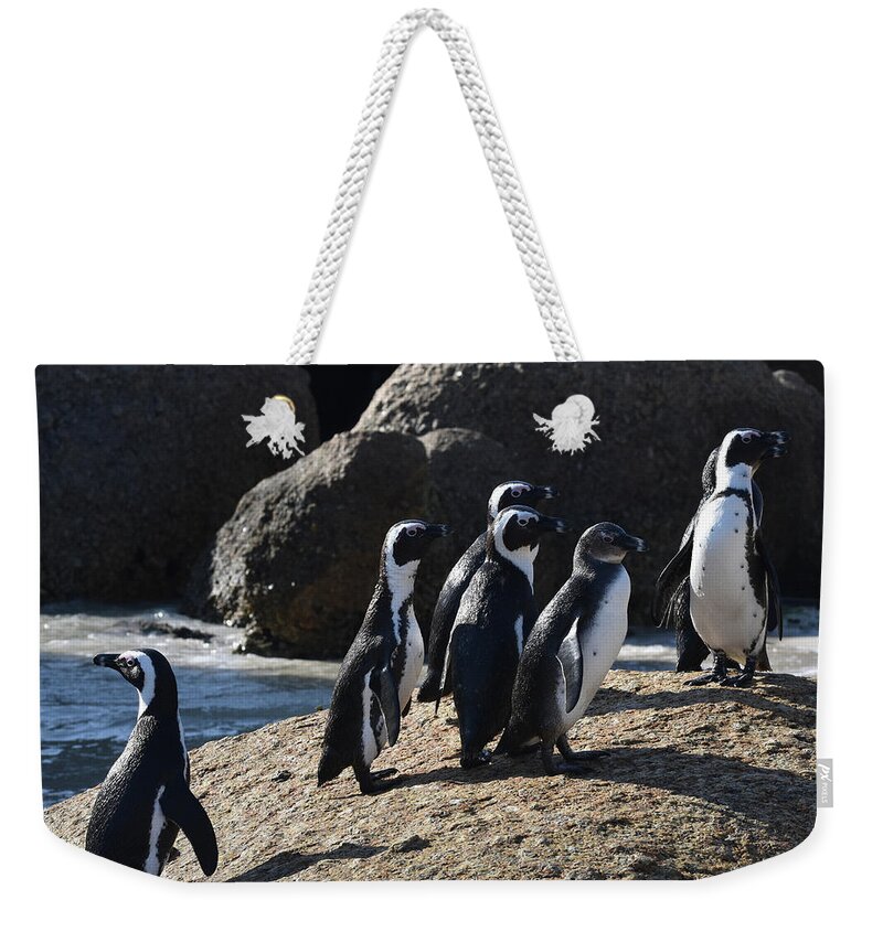 Penguin Weekender Tote Bag featuring the photograph African Penguins by Ben Foster