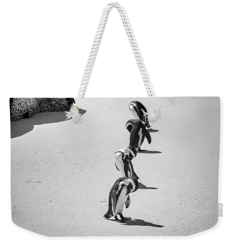 Water's Edge Weekender Tote Bag featuring the photograph African Penguins Line Up by Read Also kirsteins Shutter Bug At Larskirstein.com