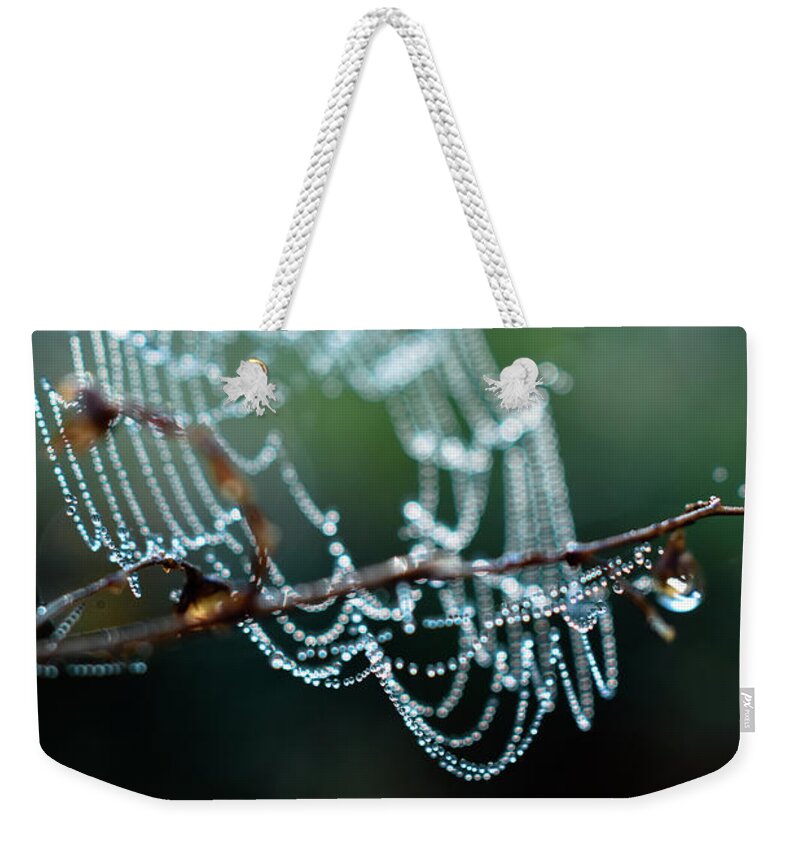 Cobweb Photo Weekender Tote Bag featuring the photograph After by Michelle Wermuth