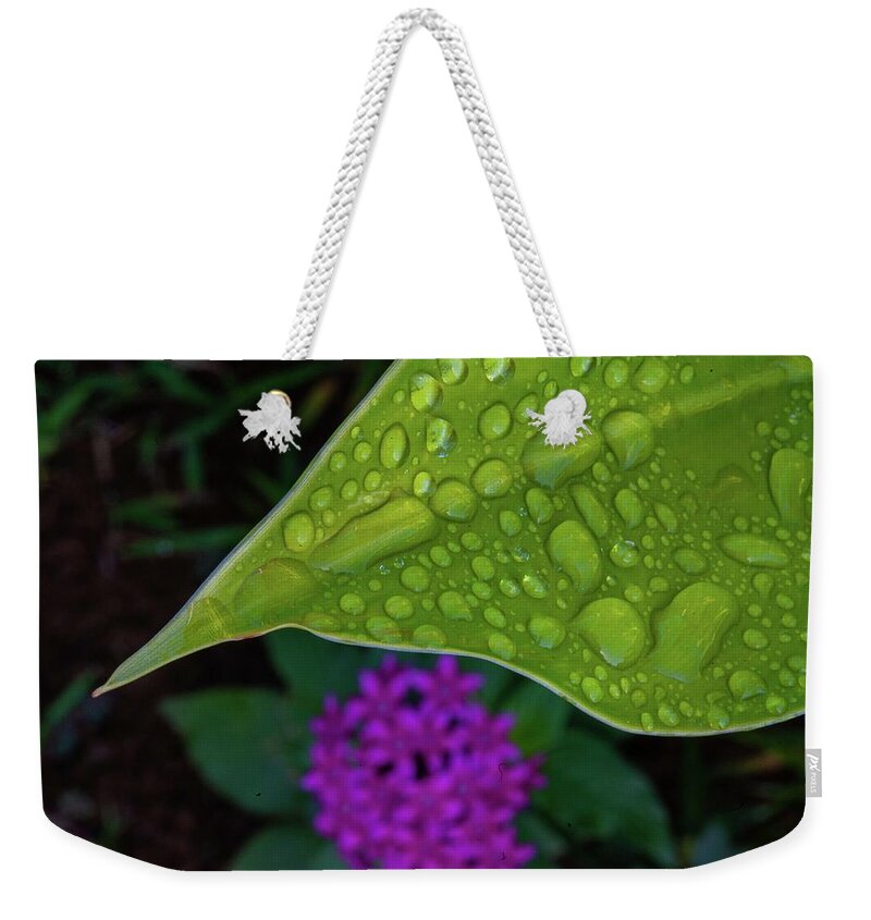 Kauai Weekender Tote Bag featuring the photograph After Morning Rains by Doug Davidson