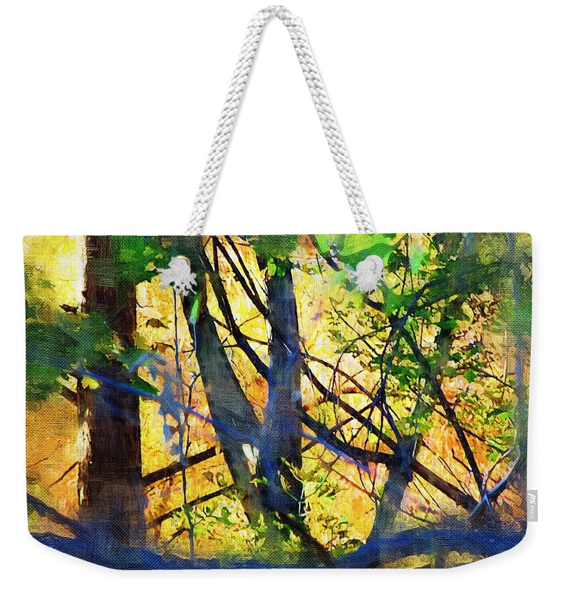 Trees Weekender Tote Bag featuring the mixed media Afternoon in the Woods by Christopher Reed