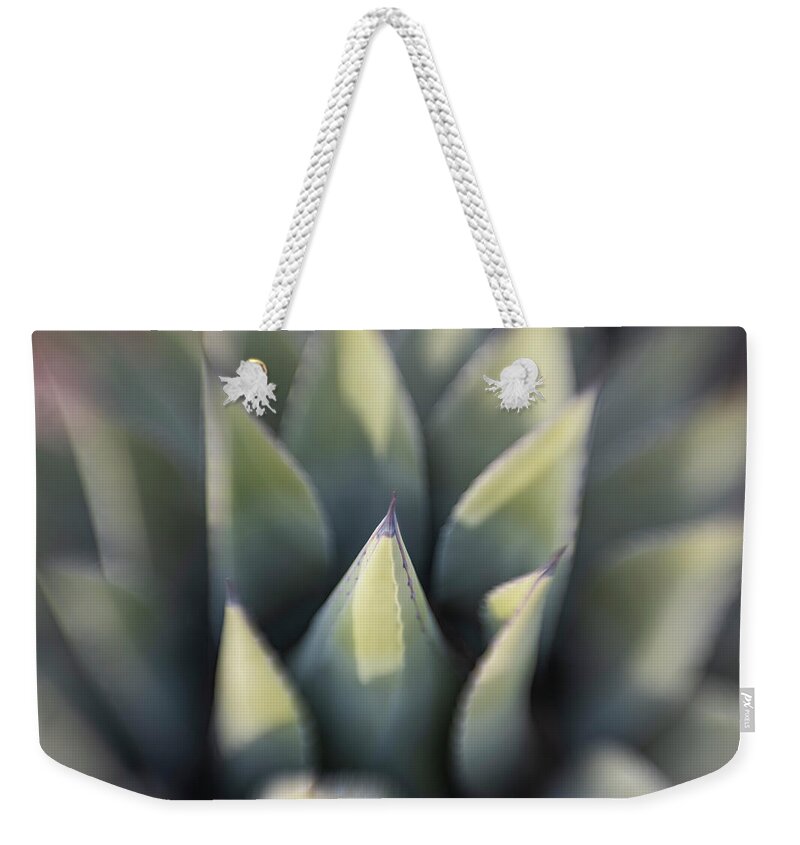 Agave New Mexico Weekender Tote Bag featuring the digital art Agave by Karen Conley