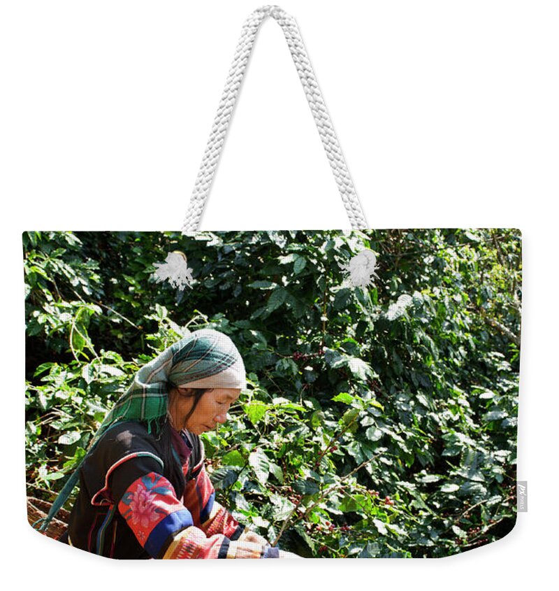 Working Weekender Tote Bag featuring the photograph Akha Coffee Harvest by Oneclearvision