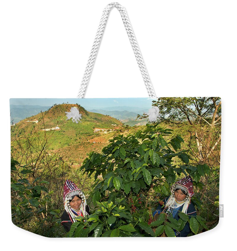 Asian And Indian Ethnicities Weekender Tote Bag featuring the photograph Akha Women Harvesting Coffee by Oneclearvision