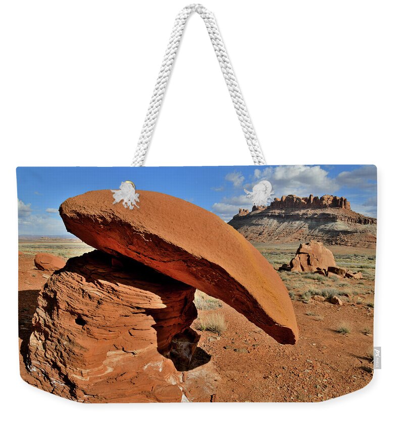 Highway 313 Weekender Tote Bag featuring the photograph Alien Boulder along Scenic Byway 313 by Ray Mathis