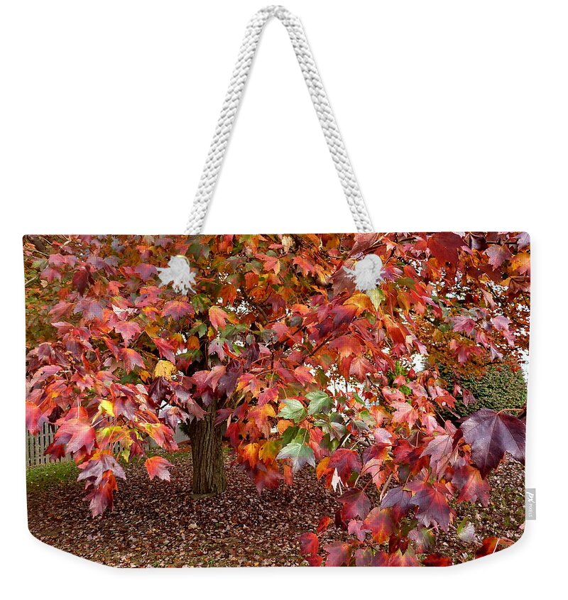 Fall Weekender Tote Bag featuring the photograph All Colors Welcome by Lyuba Filatova