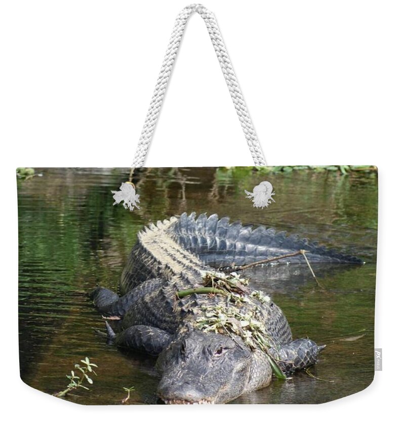 Florida Weekender Tote Bag featuring the photograph Alligator Day Spa by Lindsey Floyd