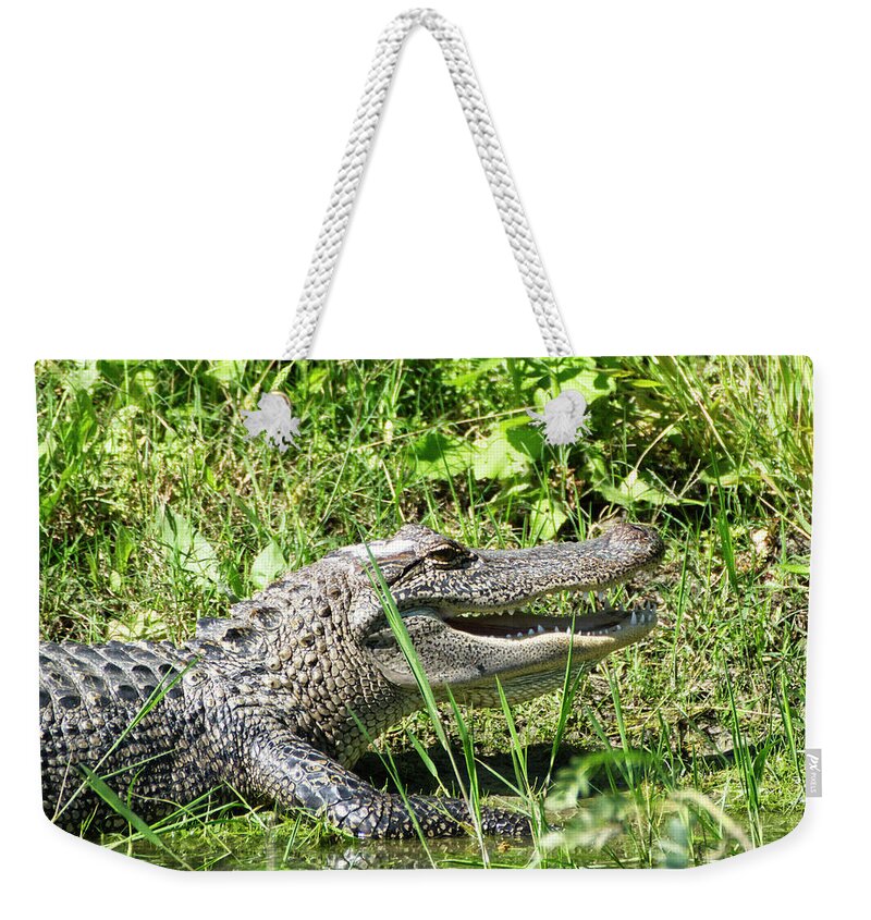 Alligator Weekender Tote Bag featuring the photograph Alligator Grin by Ty Husak