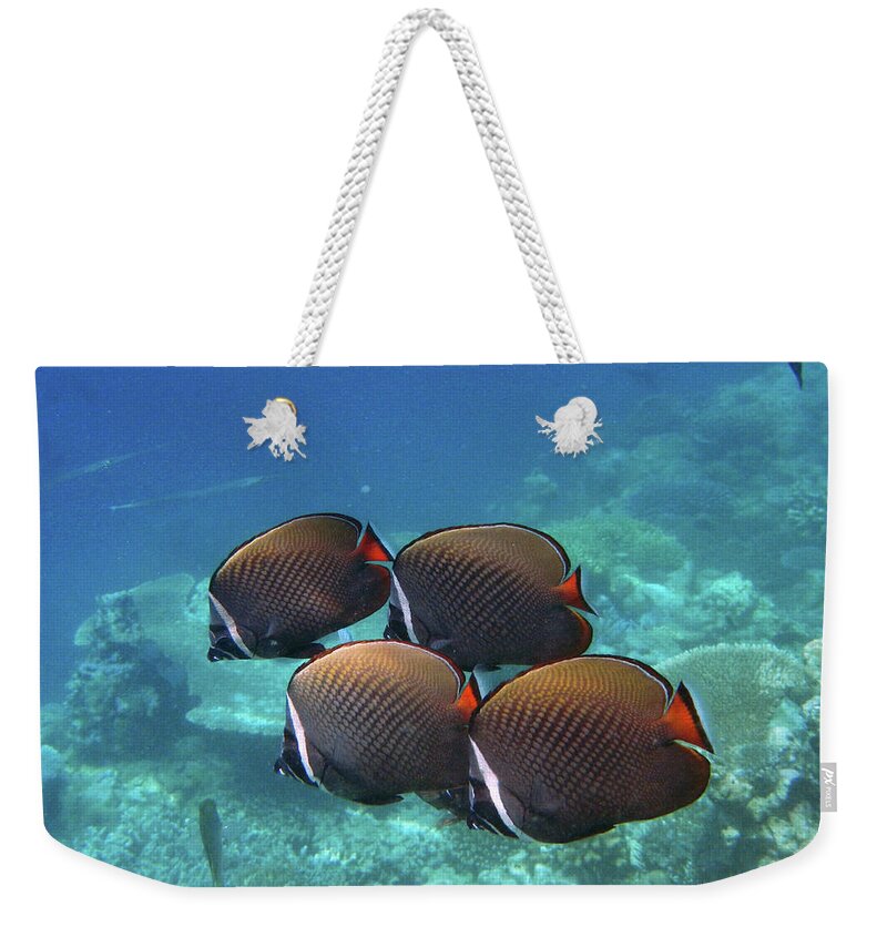 Underwater Weekender Tote Bag featuring the photograph Always In Pairs by Federica Grassi
