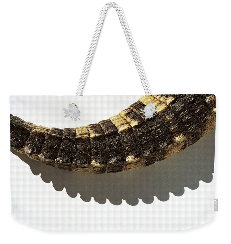 Shadow Weekender Tote Bag featuring the photograph American Alligators Tail, Close-up by Ryan Mcvay